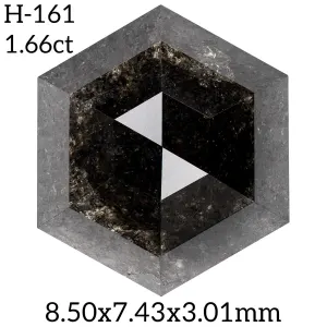 H-161