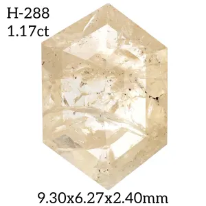 H-288