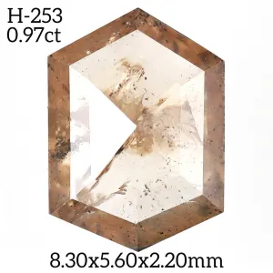 H-253