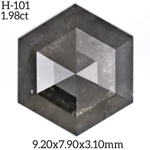 H-101