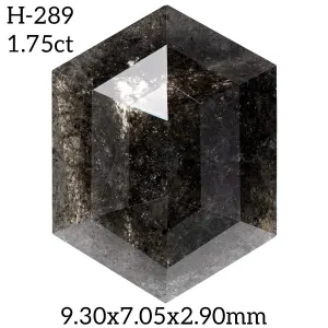 H-289