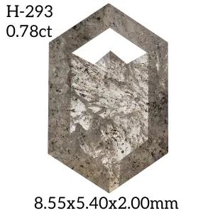 H-293